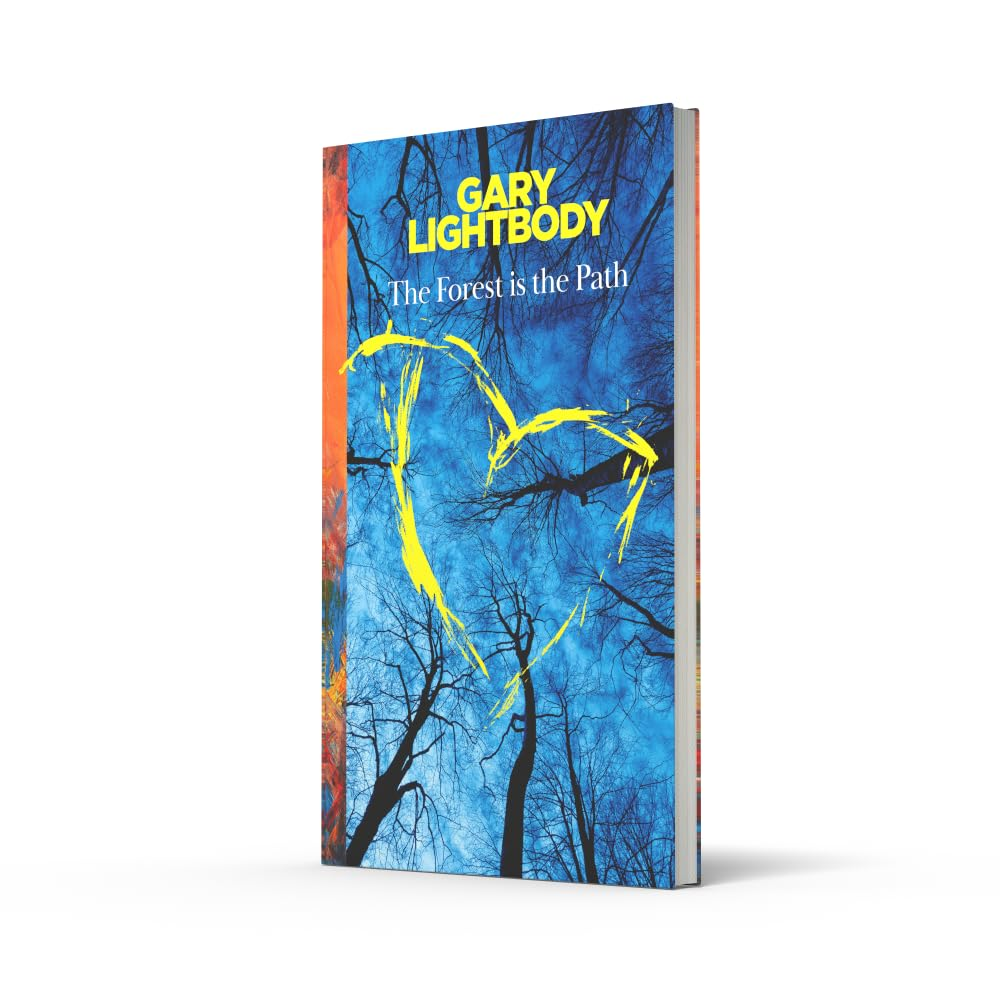 The Forest Is the Path: Reflections image number 5