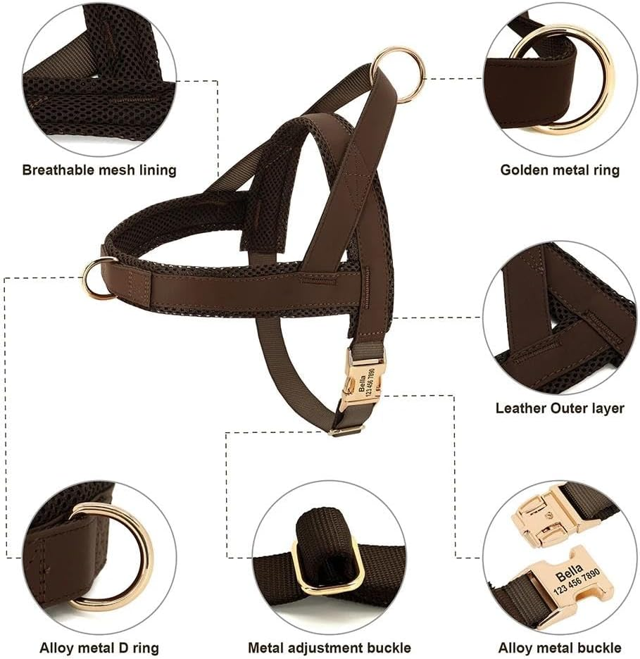 Custom Engraved Dog Harness and Leash Set Personalized Dog Harness Leash Set Padded Dog Harness and Leash Set Anti-Lost ID Name Dog Harness and Leash Set,Gray,Xs