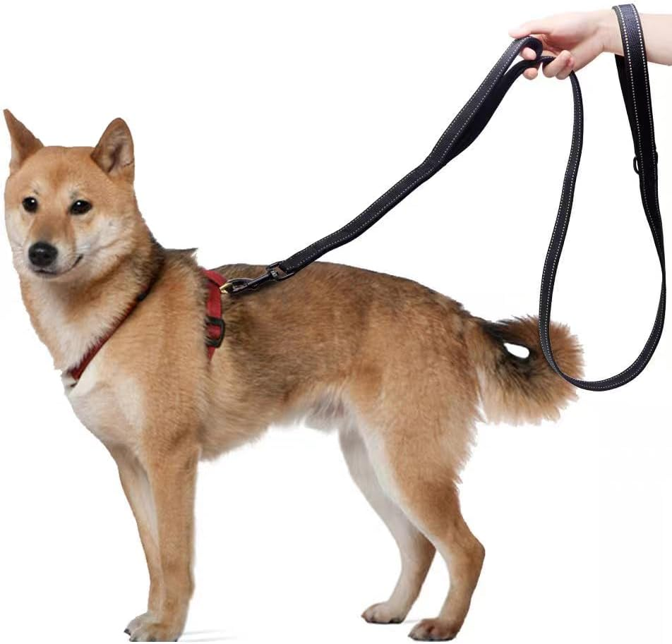 Aeclleca Soft Handle Reflective Black Dog Leash with 2 Padded Handles, 5FT Heavy Duty Pet Lead for Medium & Large Dogs, Comfortable Anti-Slip Grip & Night Safety Design (Sky Blue) - Black image number 7