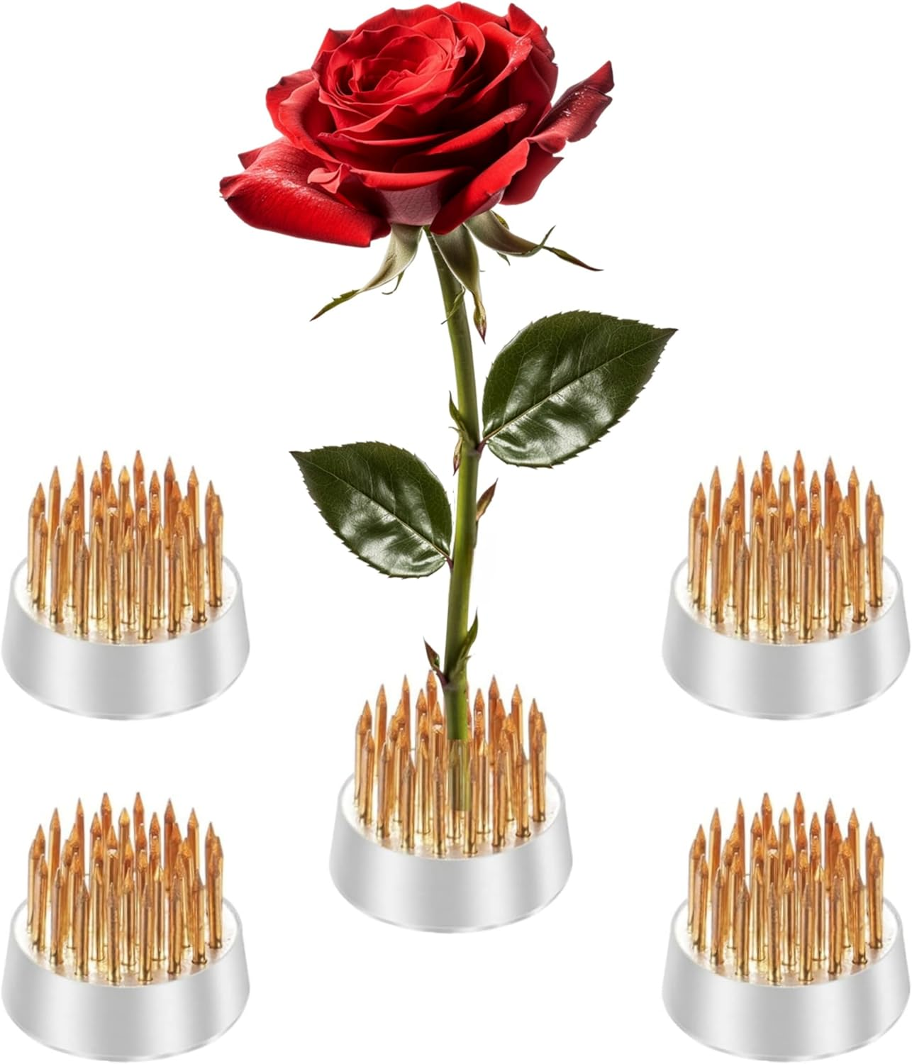 Mini Kenzan Pin Frog 23Mm/0.9Inch Diameter Floral Ikebana Flower Arranger Holder for Small Vase (20Pcs)