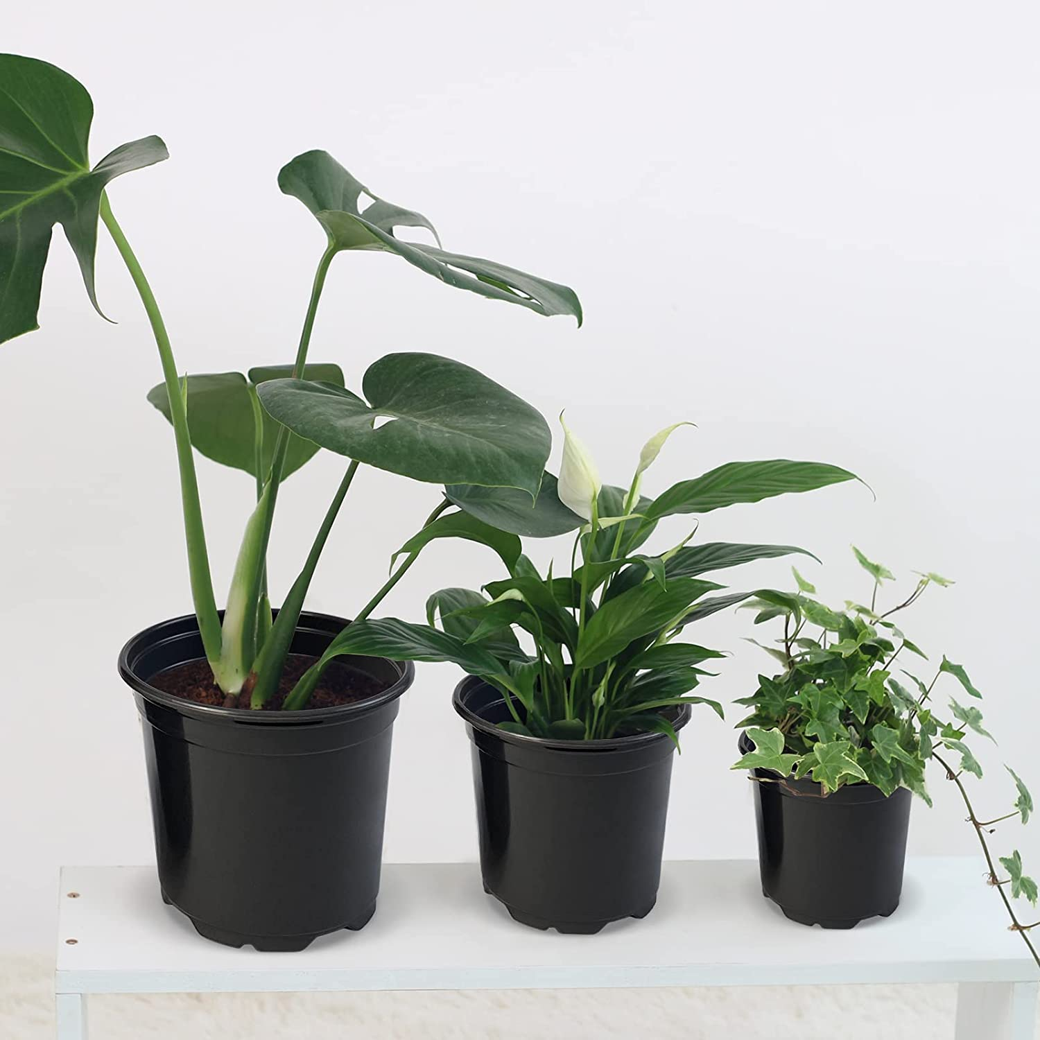 RAOOKIF 4 5 6 Inch Plants Nursery Pots, 100Pcs Plastic Seed Starting Pots for Plants, Flower Plant Container for Transplanting, Succulents, Cuttings, Seedlings(4Inch,100Pcs) image number 6