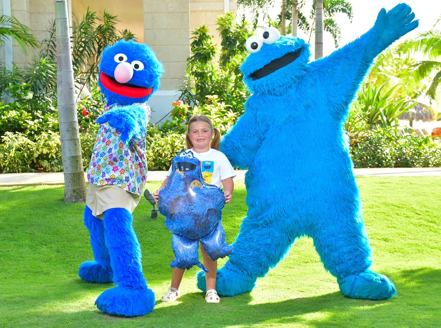 Toyland&reg; Sesame Street Foil Balloon 3 Pack - 1 X 39" Big Bird, 1 X 37" Elmo & 1 X 35" Cookie Monster Characters - Kids Party Decorations image number 3