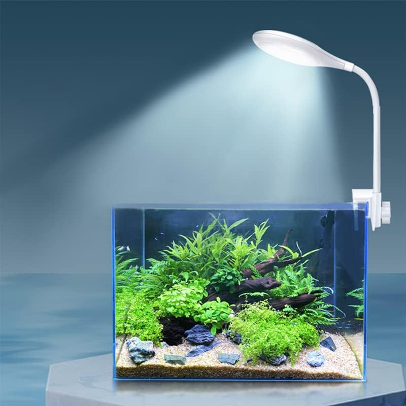 Bigtron Full Spectrum Aquarium Light, Small Clip Light for Fish Tank