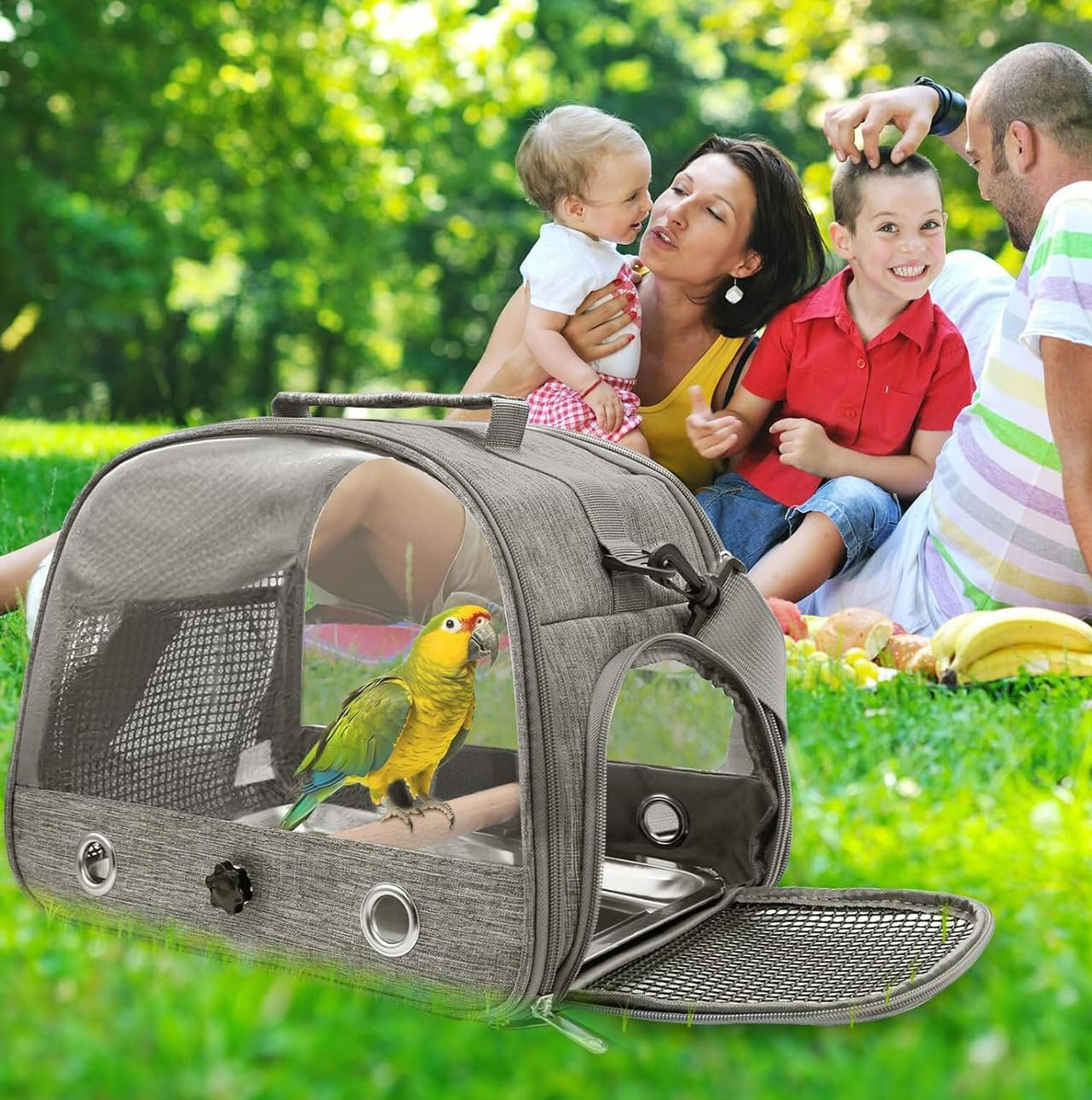 Bird Carrier Travel Cage with Stand (With Tray), Small Bird Travel Carrier for Parrot with Perch, Small Pet Cage for Transport - Parakeet Holder Bag with Strap, Side Access Window (Blue) - Blue image number 3