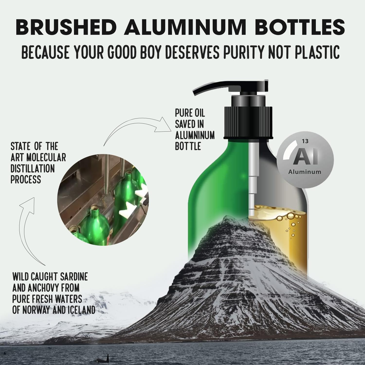 Sardine Anchovy Oil | 1296Mg Omega | Unscented Pharmaceutical Grade | for Dogs & Cats | Bpa-Free Brushed Aluminum Epoxy Coated Bottle with Pump 8.75Oz