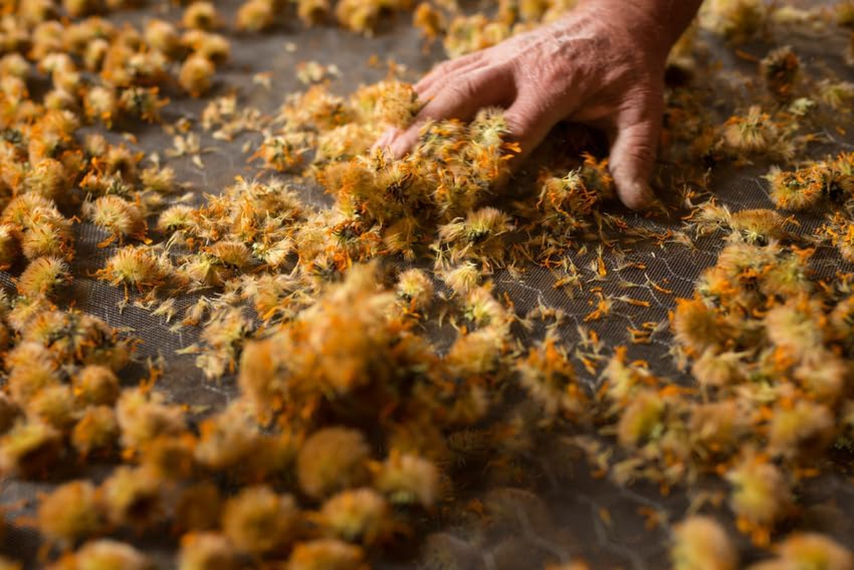 Weleda Recuperating Bath Milk with Arnica 200Ml image number 4