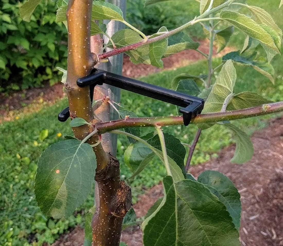 LEILIN 30 Pcs Plant Stem Trainer|Allow More Light and Air Flow|The Fruit Branch Spreader|Fruit Trees to Support the Growth of New Branches, Branch Support (30 per Pack) image number 4