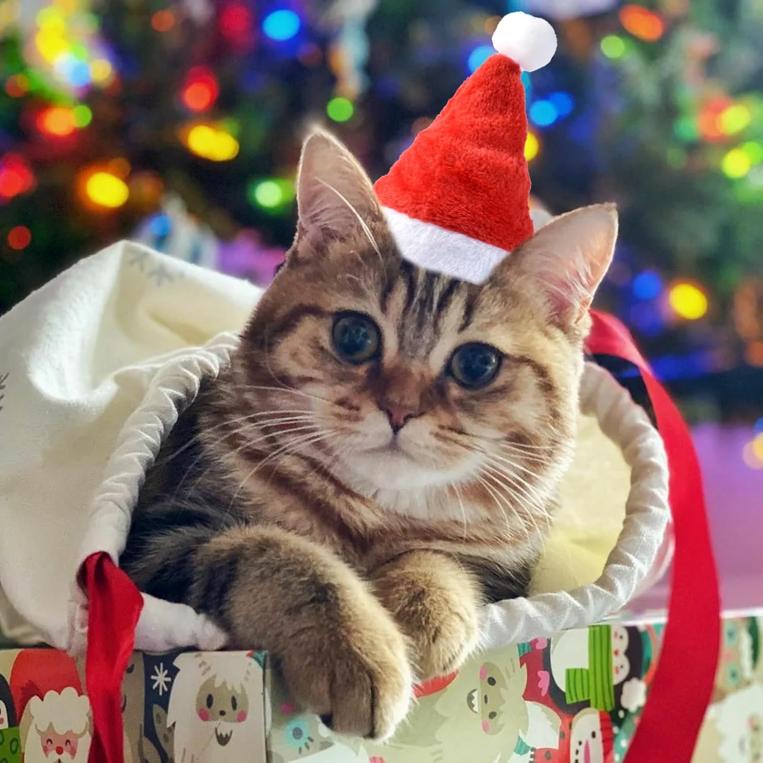 Mini Dog Santa Hat for Dogs Christmas Hat,Small Cat Santa Hats(Red) image number 3