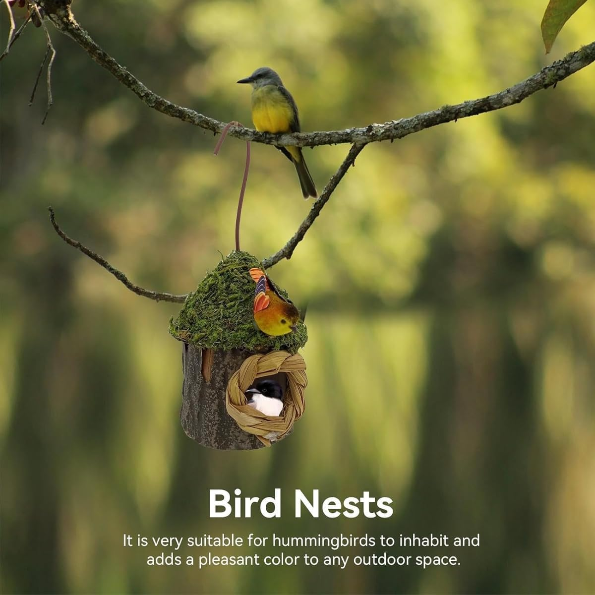 AIMALL Outdoor Hanging Wooden Birdhouse &ndash; Small Nesting Box for Hummingbirds & Finches, Moss Roof Garden Decor with Hook for Balcony, Tree, Courtyard 6.3X2.76X3.35In image number 6