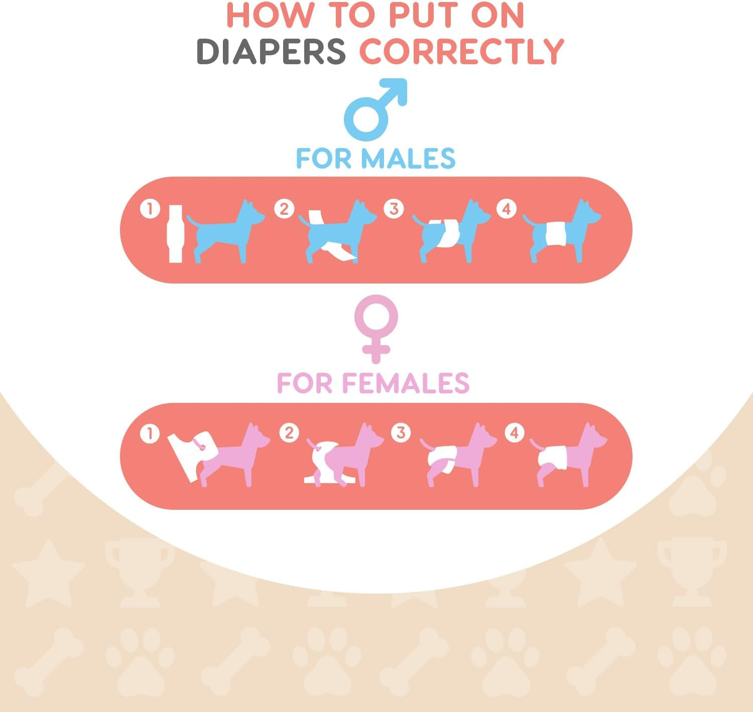 Misoko 3 Pack Reusable Dog Heat Pants, Cheerful Design Machine Washable Dog Nappies, Super Absorbant, Leak Proof Sanitary Wraps, Perfect for Puppies Training, Travel & Home Use, Meadow, L image number 6