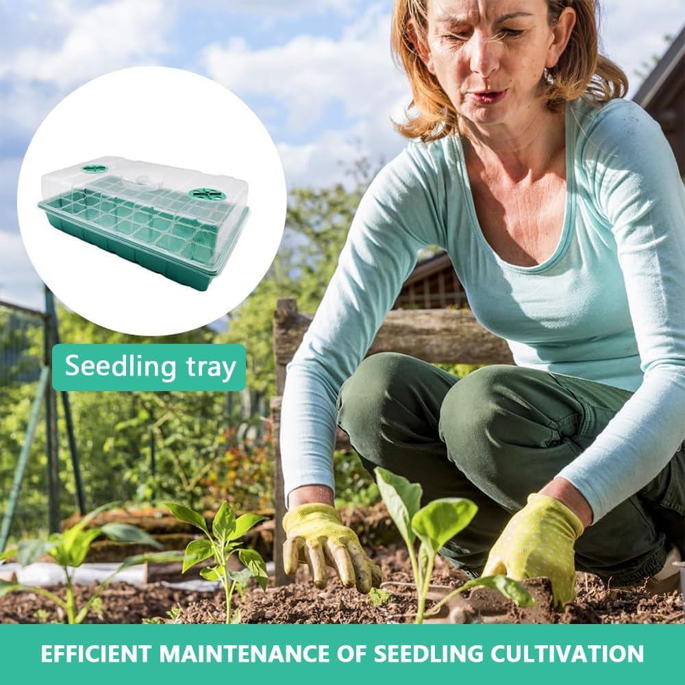 4 Pack Seed Starter Trays 160 Cells Plant Germination Tray with Adjustable Dome Lid, Seedling Starter Growing Tray Mini Propagator Greenhouse Plant Growing Trays with Tools image number 6