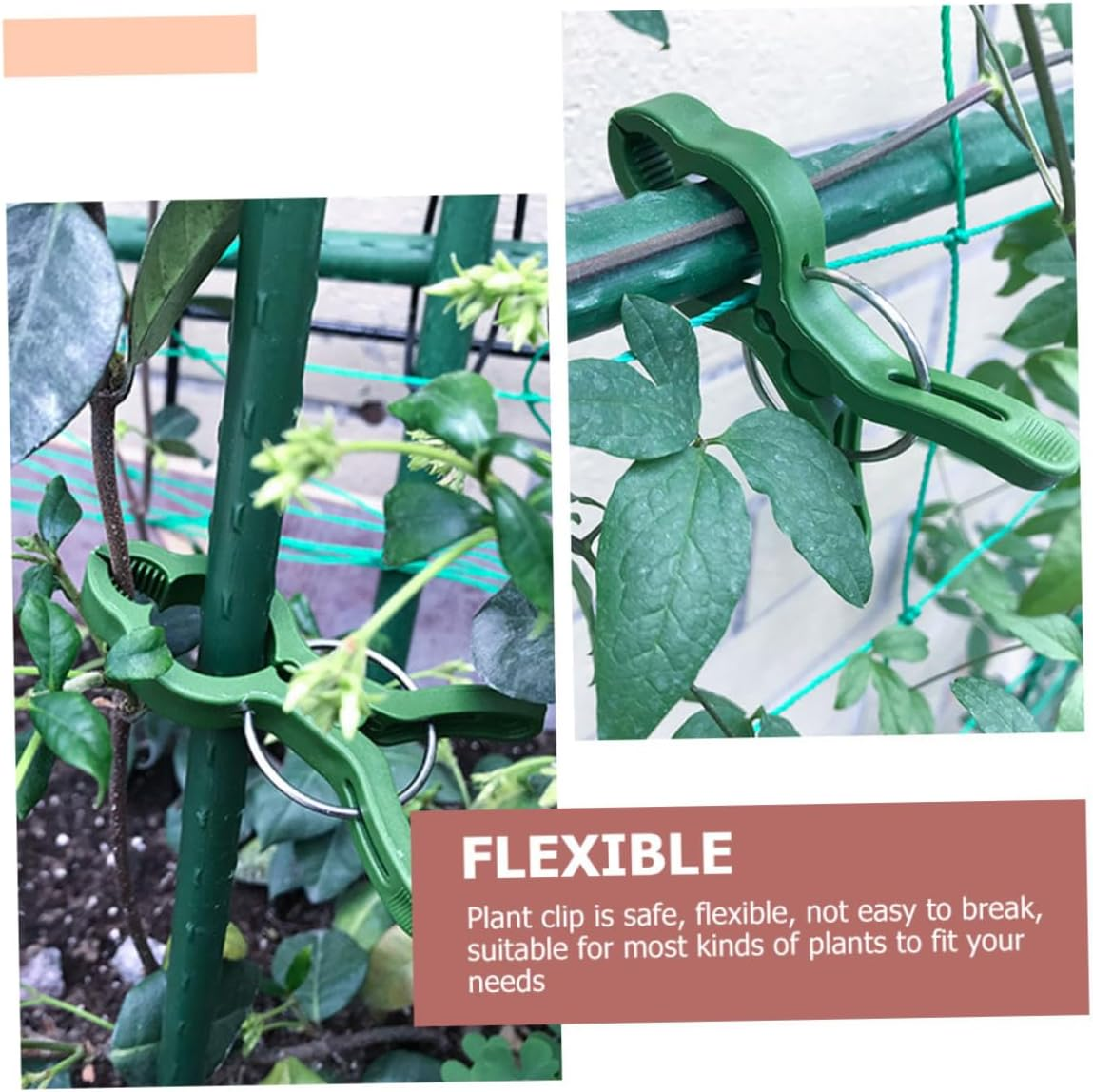 MINAOLULUS 60Pcs Plant Clips and Tomato Clips Set for Gardening Large Green Plastic Garden Plant Support Clamps for Vines Flowers and Vegetable Stems image number 1