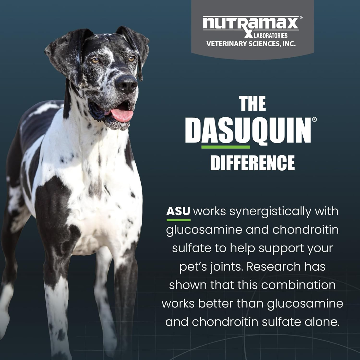 Nutramax Dasuquin with MSM Soft Chews, Large Dog, 84 Count image number 6