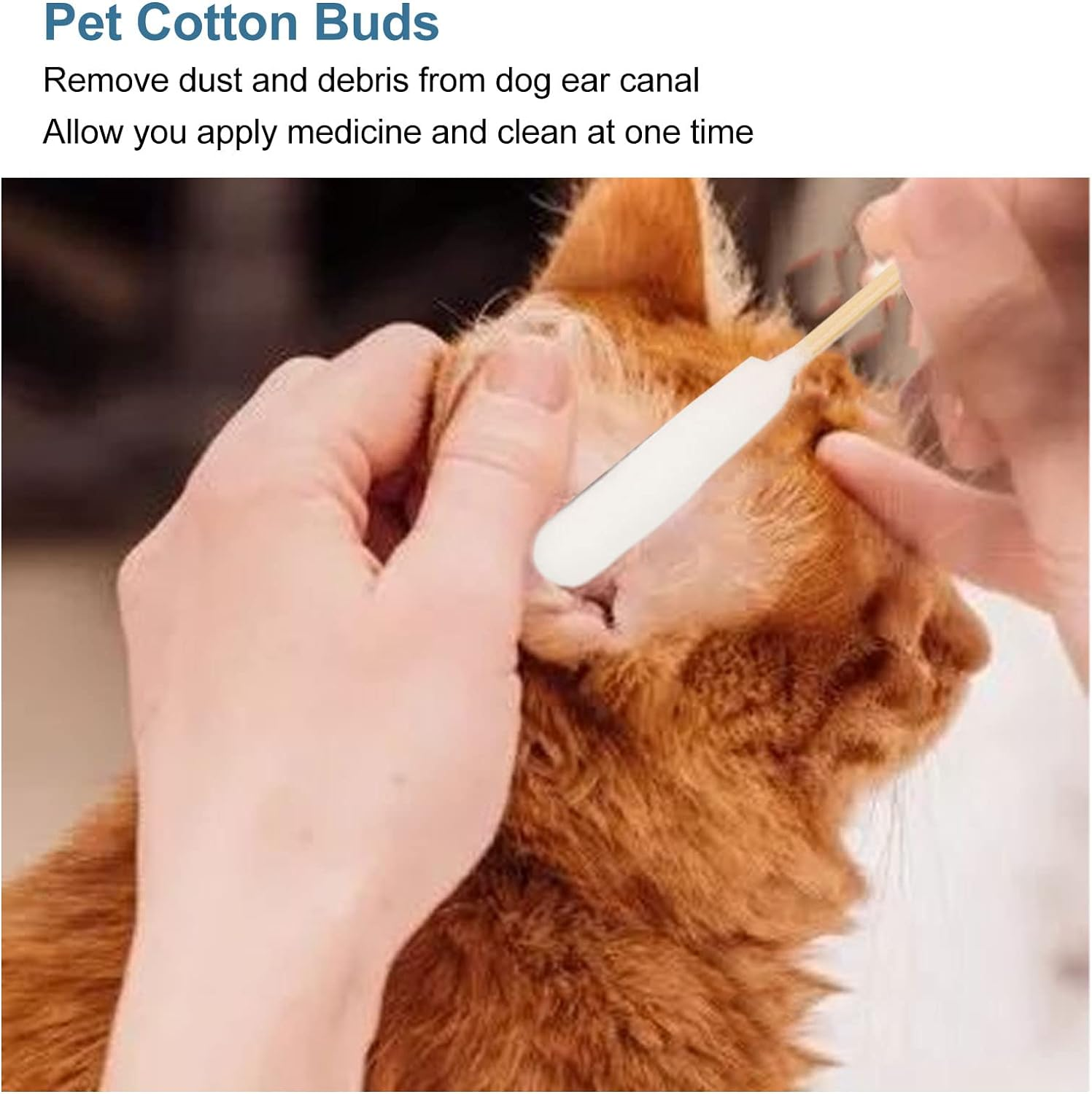 100Pcs Long Cotton Swabs for Dogs, Cat, Puppy, 6 Inch Specially Designed Dirt Removal Big Cotton Bud, Large Means Safe, Ear Cleaner for Apply Medicine, Clean Wound, Ear Cleaning image number 3