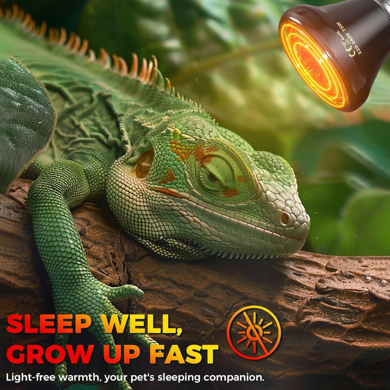 Glowup 75W Reptiles Heat Lamp Bulb,No Light Ceramic Heat Emitter,E27 Black Heatbulb for Reptiles,Ceramic Heat Bulb for Tortoise/Bearded Dragon/Lizard/Snake/Puppies/Aquarium-2Pack image number 5