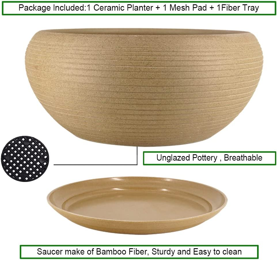 MUZHI 10&rdquo; round Large Ceramic Bonsai Bowl Planter，Clay Succulent Plant Pot Container with Saucer image number 5