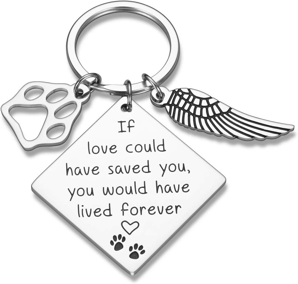 Pet Memorial Gift Loss of Dog Keychain Sympathy Loss of Cat Gift Pet Loss Keyring in Memory of Dog Pet Sympathy Cat Lover Family Friends Remembrance Gifts (Memorial A) image number 1