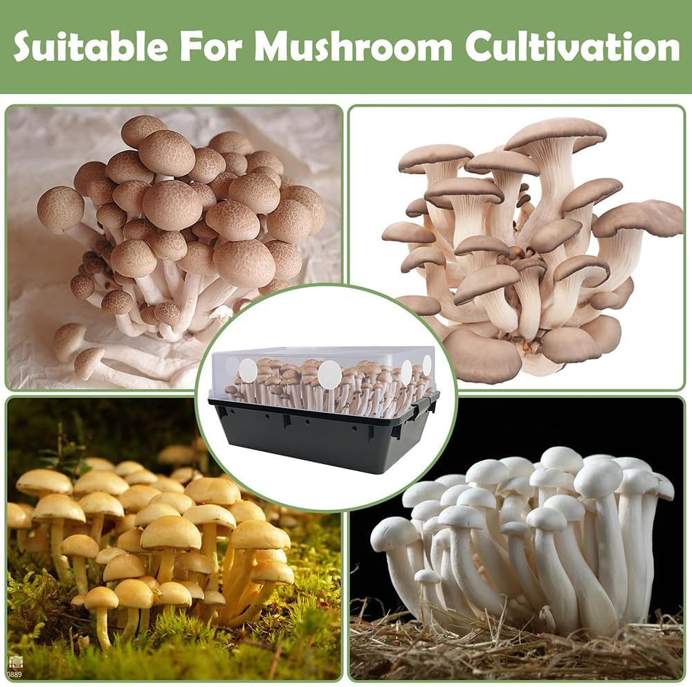 48PCS 2.5" Monotube Adhesive Filter Disks,0.08In Thick round Filter Pads, Synthetic Air Exchange Filters for Mushroom Growing, Synthetic Filter Paper Stickers for Mushroom Growing Supplies image number 1