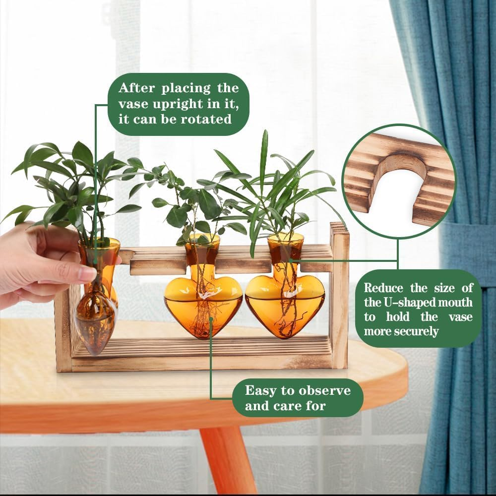Heart-Shaped Glass Propagation Station with Wooden Stand, 3 Vases, Hydroponics Plant Terrarium, Home Decor