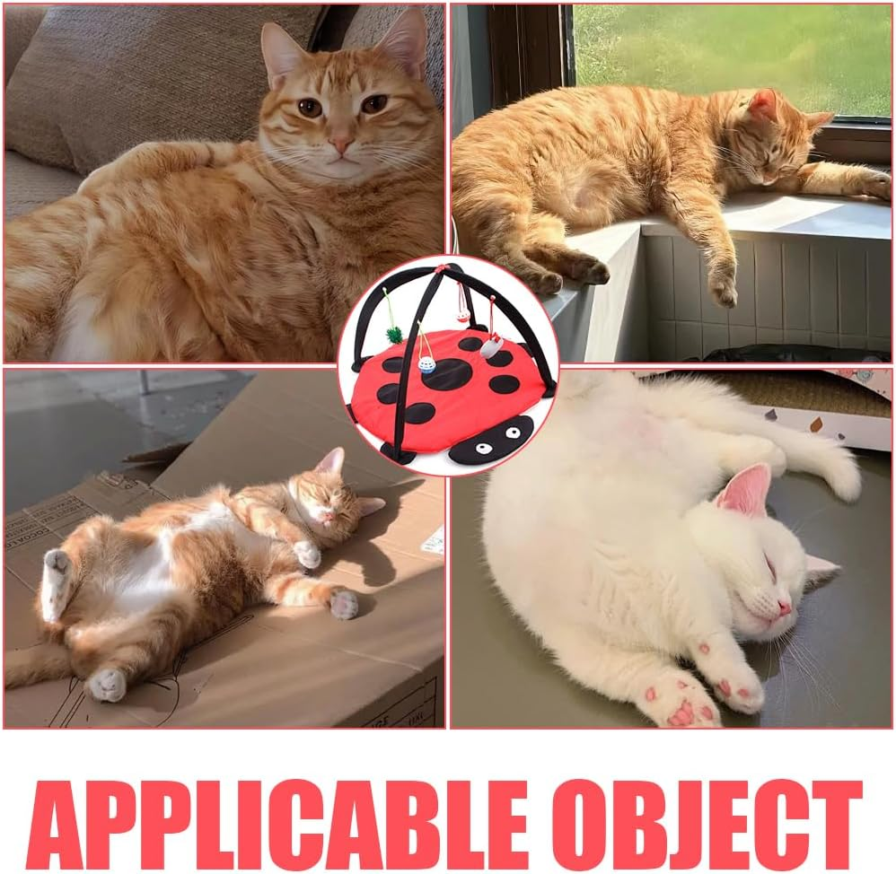 Cats Hammock, Foldable Cat Bed Mat, 45 * 45 * 34Cm, Washable, Cat Activity Center, Helps Cats Get Exercise Stay Active, Red and Black image number 5