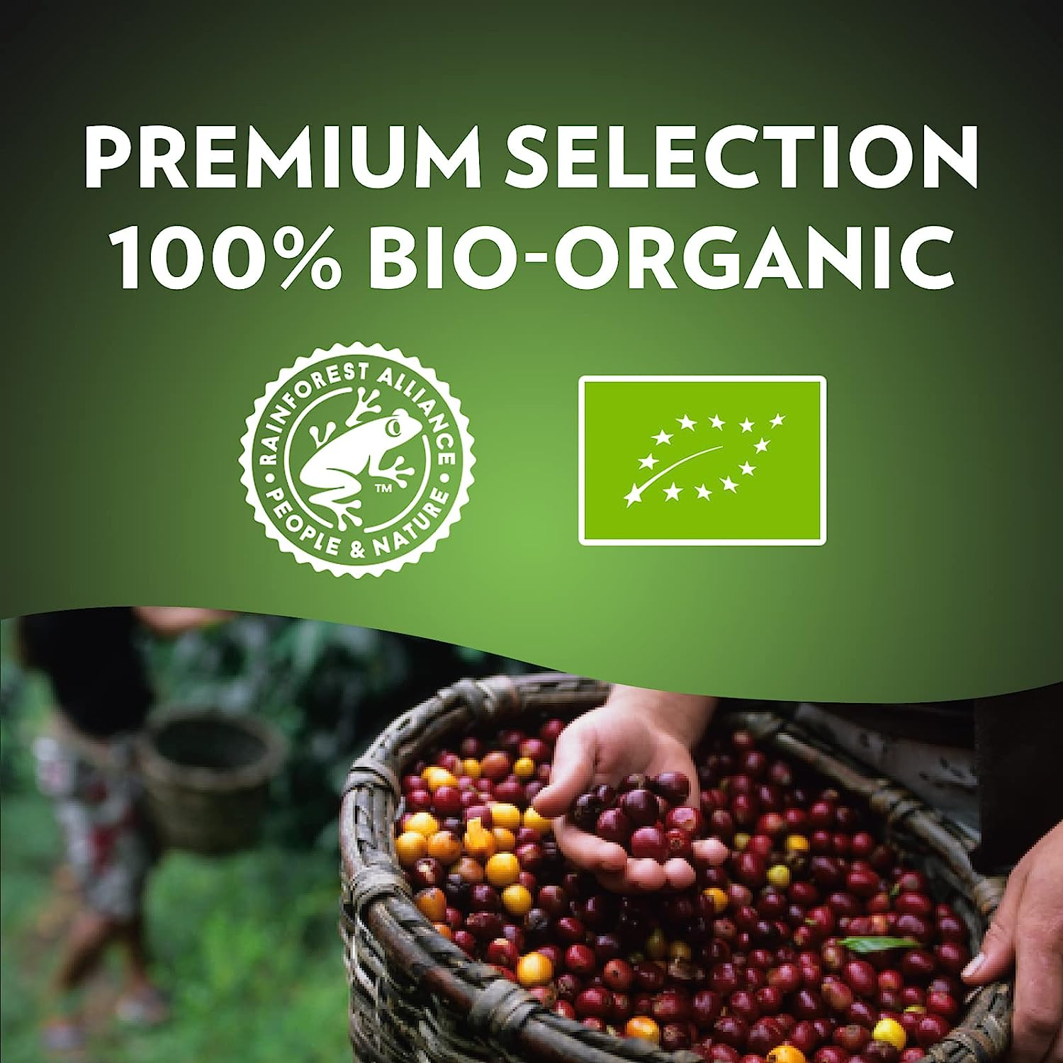 Lavazza, Espresso Barista Organic, 1 Kg, Coffee Ground, Ideal for Moka Pot, with Aromatic Notes of Dried Fruits and Hazelnuts, Premium Arabica and Robusta, Intensity 8/10, Medium Roasting, 4X250G