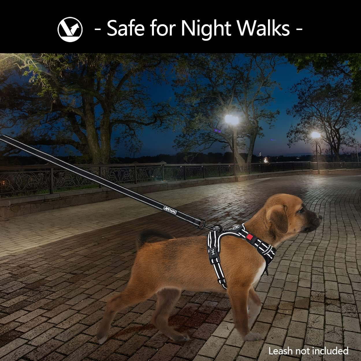 Poypet No Pull Dog Harness, No Choke Reflective Oxford Outdoor Vest, Adjustable Pet Harnesses with 2 Leash Clips, Easy Control Padded Handle for Small Medium Large Dogs (Black,S) image number 2