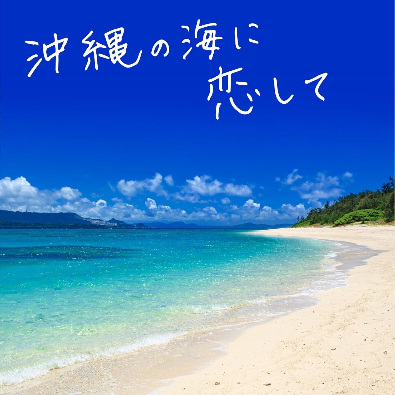 Bath Roman Travel Okinawa Medicated Bath Salts, 4 Types X 3 Packs, Refreshing Marine, Tropical Fruit, Exotic Flowers, Luxury Vanilla Scent, Home Hot Spring (Earth Pharmaceutical) image number 4