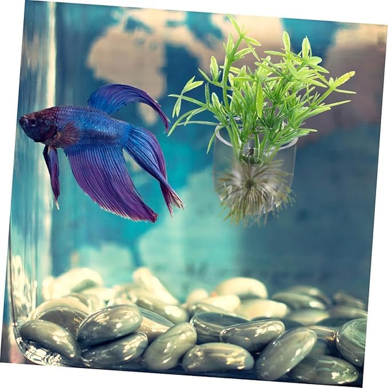 8 Pcs Plant Pot Aquarium Decor, Aquatic Cup, Magnifying Glass Shelf, Crystal Planter Holder image number 3