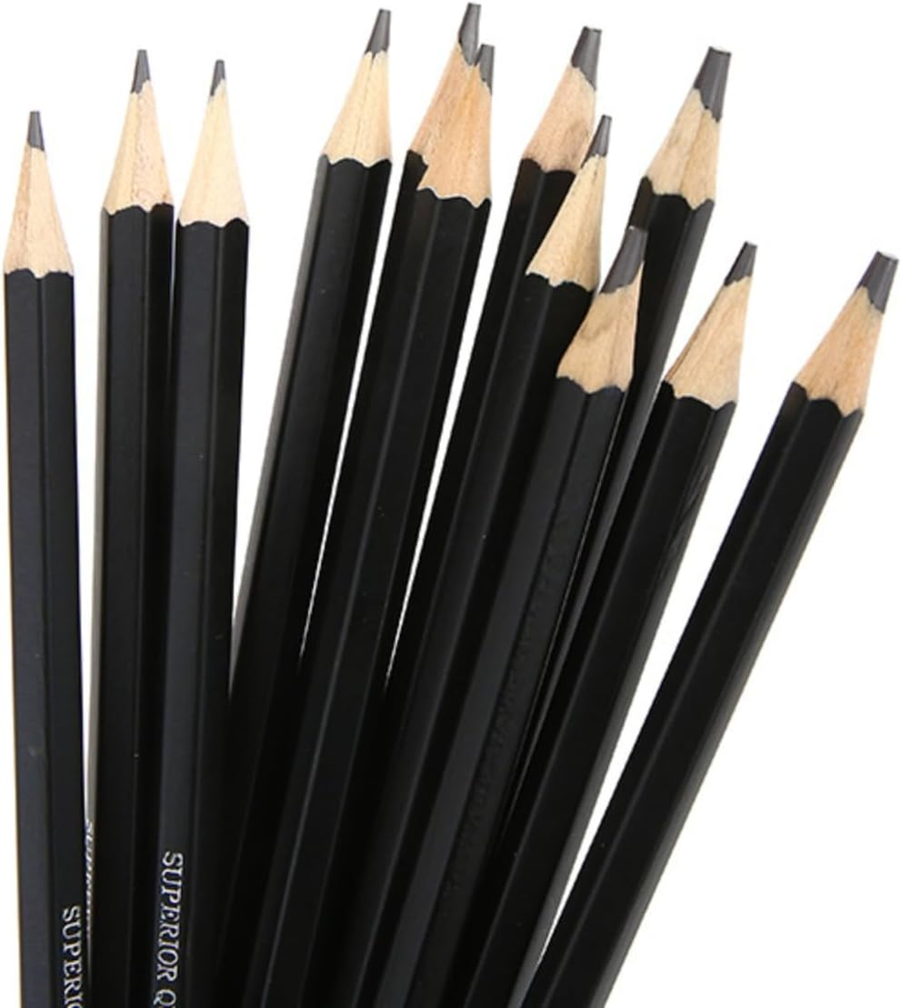 MAIHUO 12 Pcs Graphite Pencils Set,Drawing Sketch Pencil Set,Art Set for Adults,Beginner,Profession Sketch Pen,8B,7B,6B,5B,4B,3B,2B,B,Hb,F,H,2H