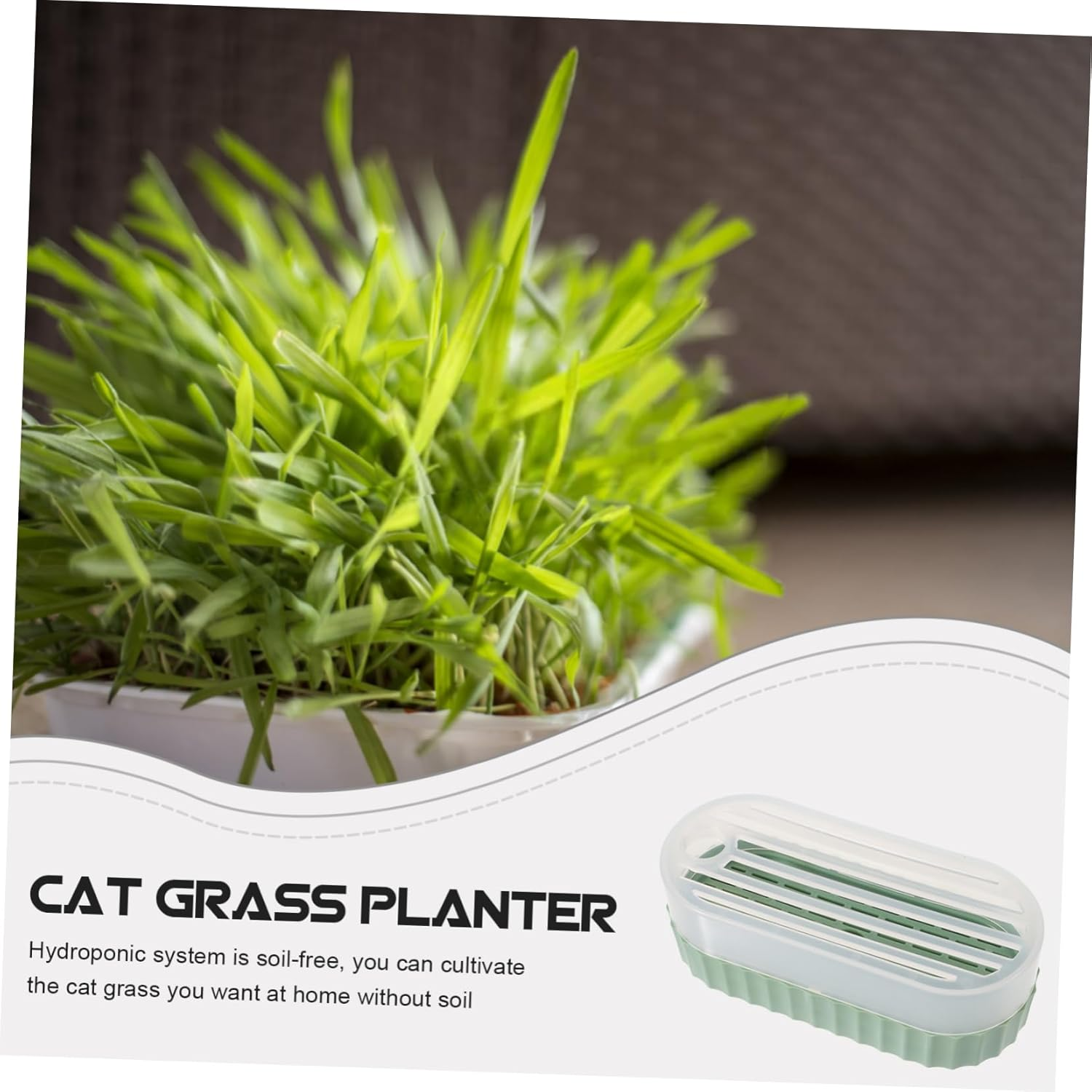 Cat Grass Planter Soilless Hydroponic Catnip Growing Box Creative Indoor Gardening Cat Supplies for Growing at Home image number 2