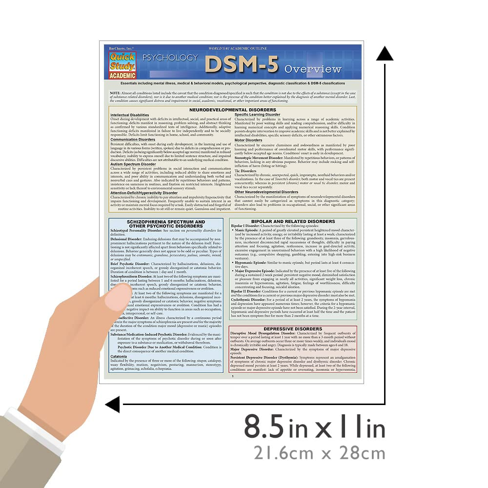 DSM-5 Overview image number 1