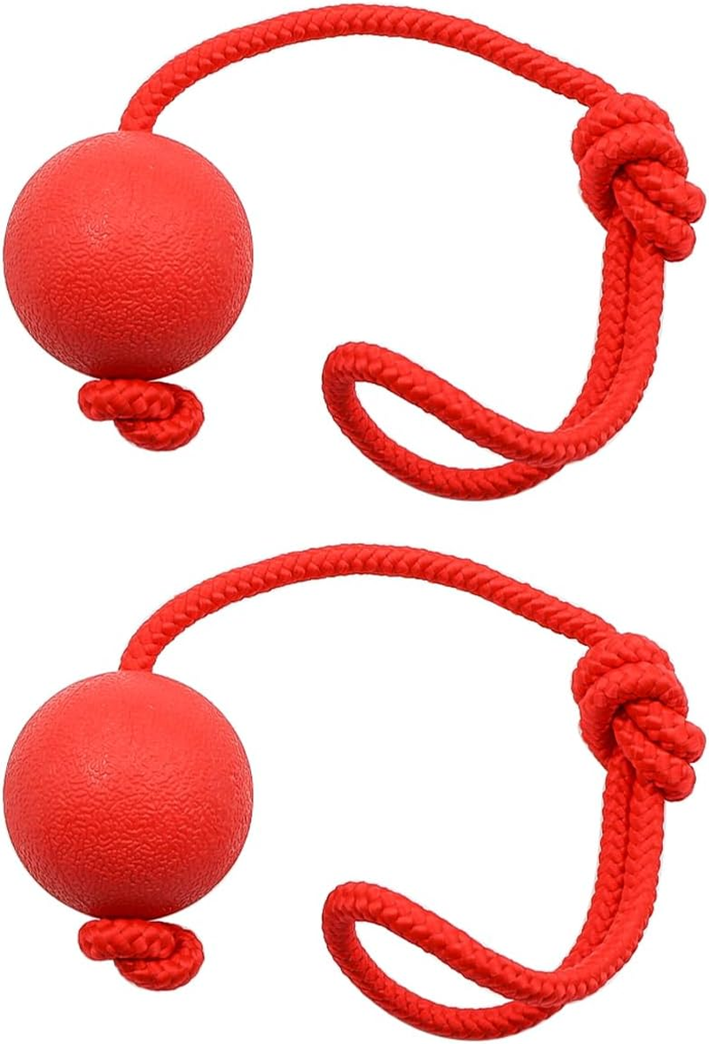 Sarini Pack of 2 Elastic Dog Game Ball with Rope,Natural Rubber Throwing Ball, Dog Ball with Cord, Pet Ball Game with Rope for Large and Small Dogs, Wide Throws, Catching image number 1