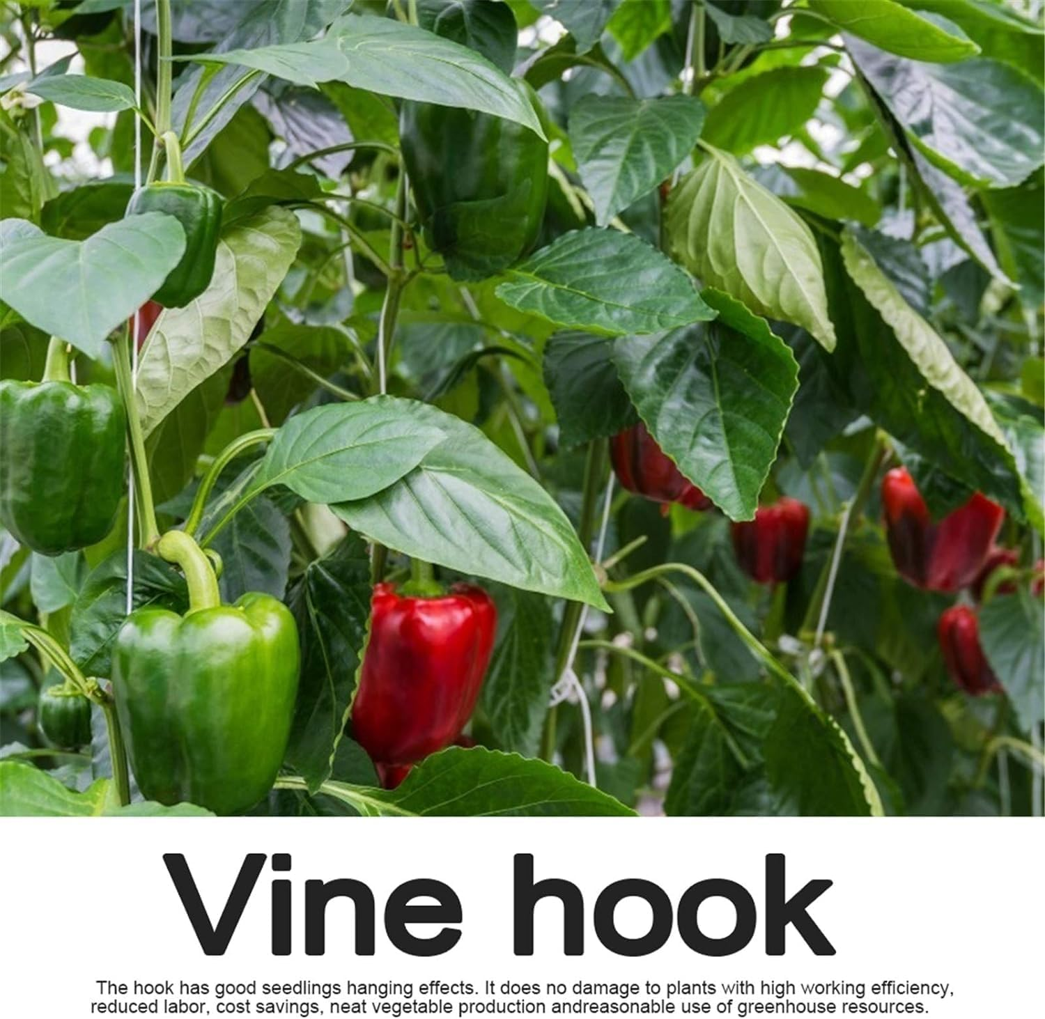 10Pack Greenhouse Trellising Kit Plant Roller Hooks, Tomato Trellis Roller Hooks with 15M Twine, for Tomato,Plant, Greenhouse, Flower Vine Twine Crop Trellis Kit image number 3