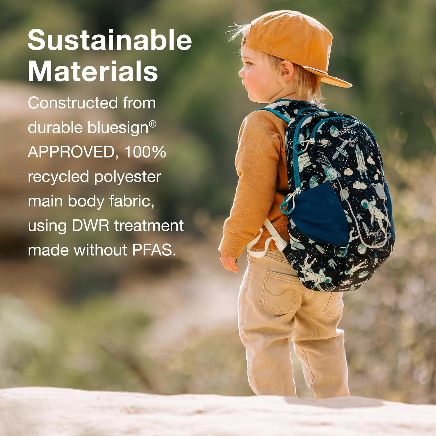 Osprey Osprey image number 3