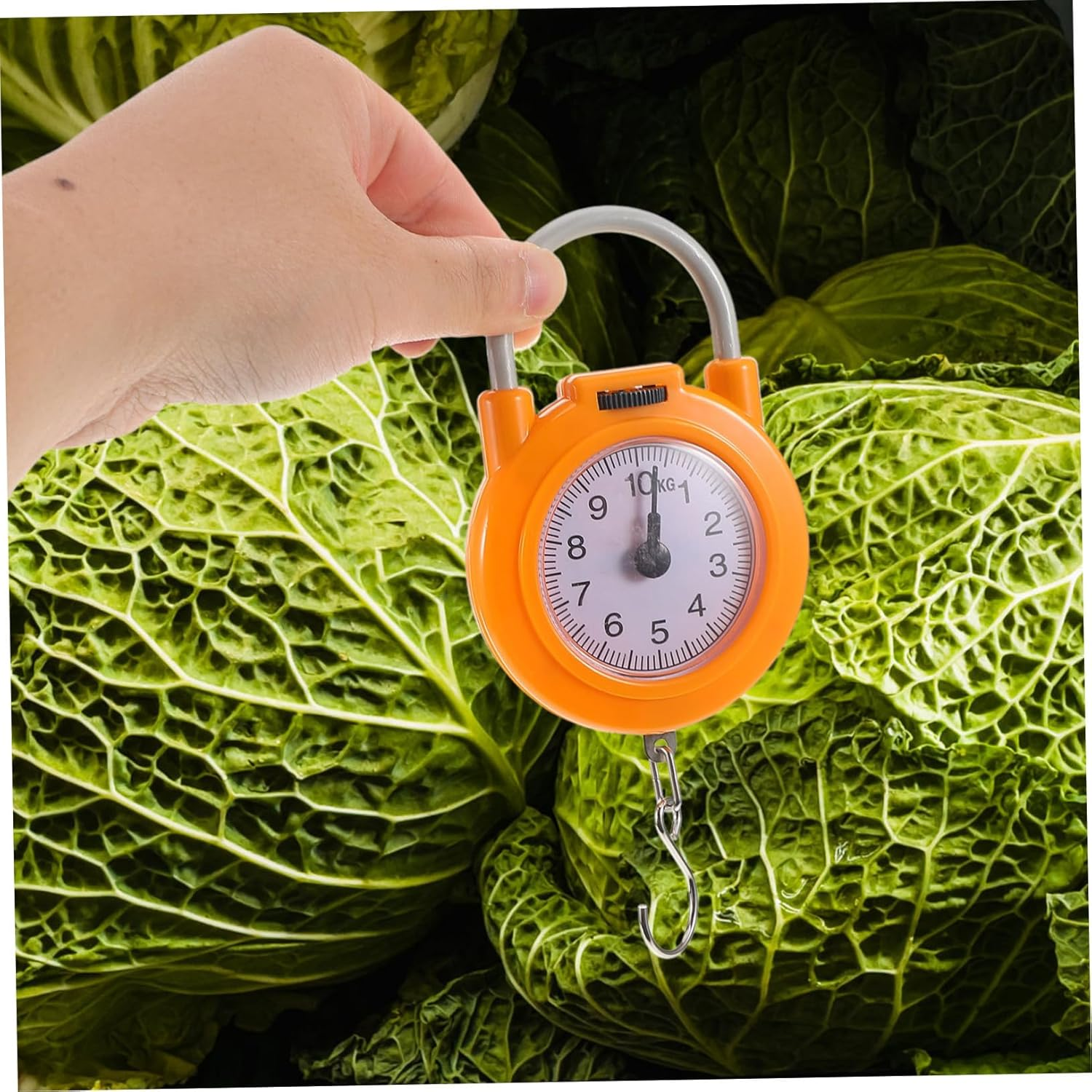 LIGIGWASH Scale for Luggage High Precision Spring Scale Hook for Travel for Fish and Suitcases image number 1