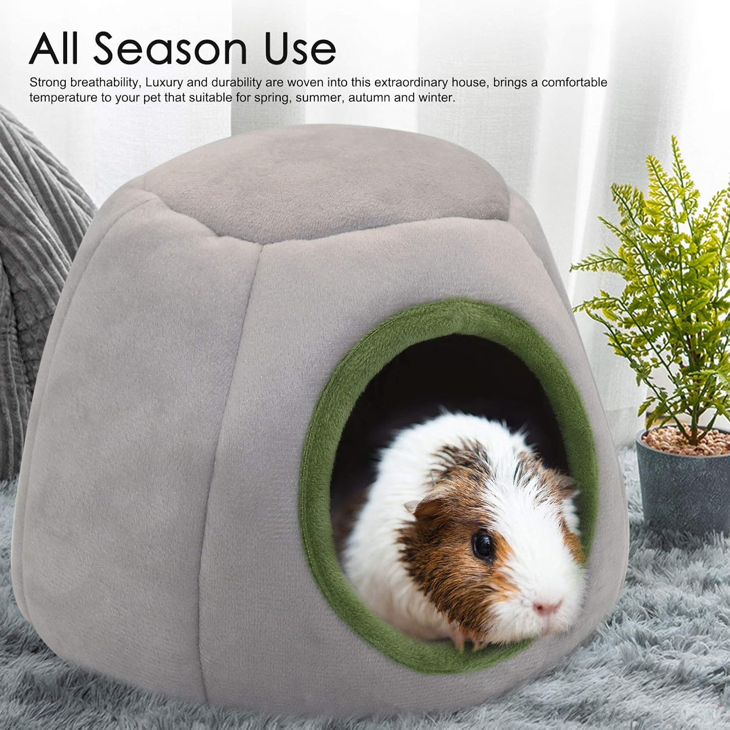YUEPET Guinea Pig Bed 2 Pack - Washable Cage Accessories Small Animal Bed Hideout for Guinea Pig, Chinchilla, Hamsters, Hedgehog - Lion And Whale image number 3
