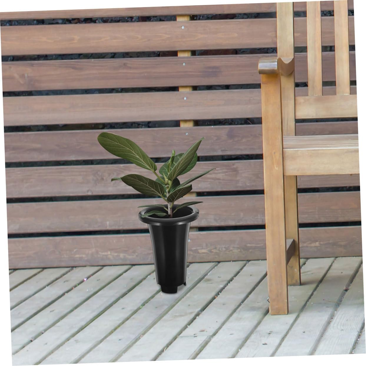 Generic Elegant Orchid Set 10 Plastic Pots Sturdy Construction Leakproof Base for Home and Office