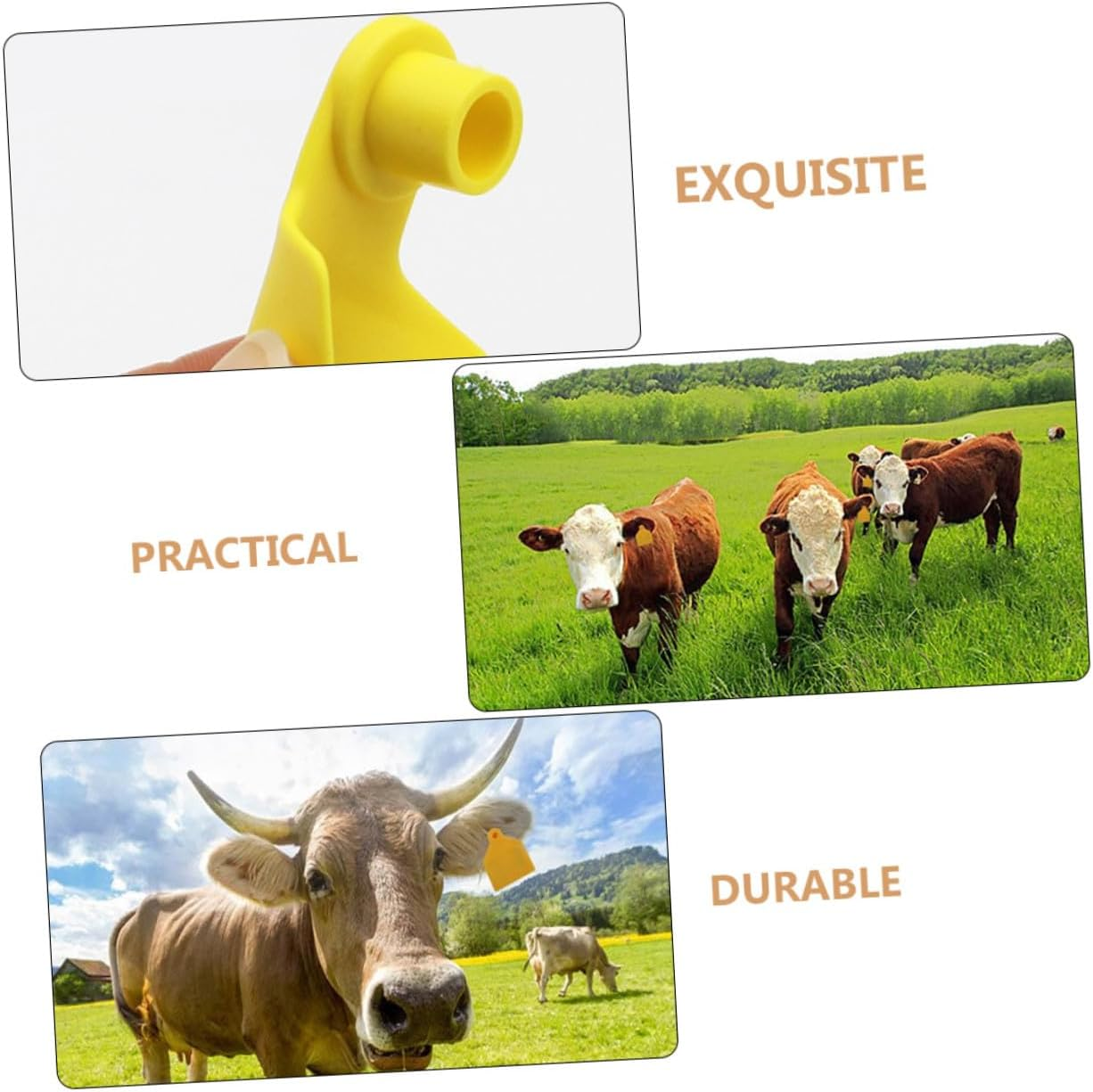 Milisten 100Pcs Blank Livestock Ear Tags for Cattle Sheep Pigs Flexible Fade Resistant Animal Identification Tags Suitable for Farm Use image number 4