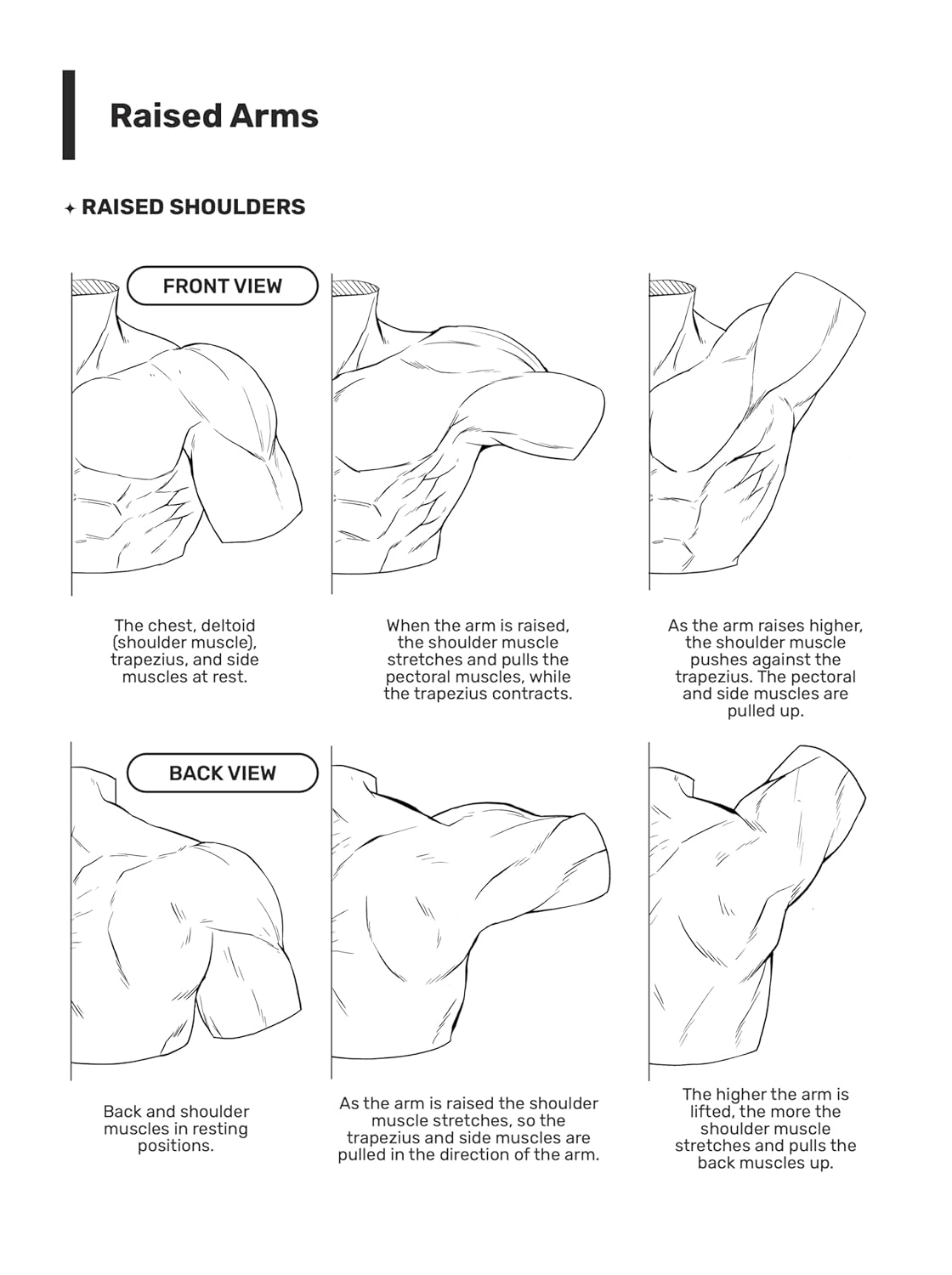 How to Draw Manga: the Male Physique image number 1