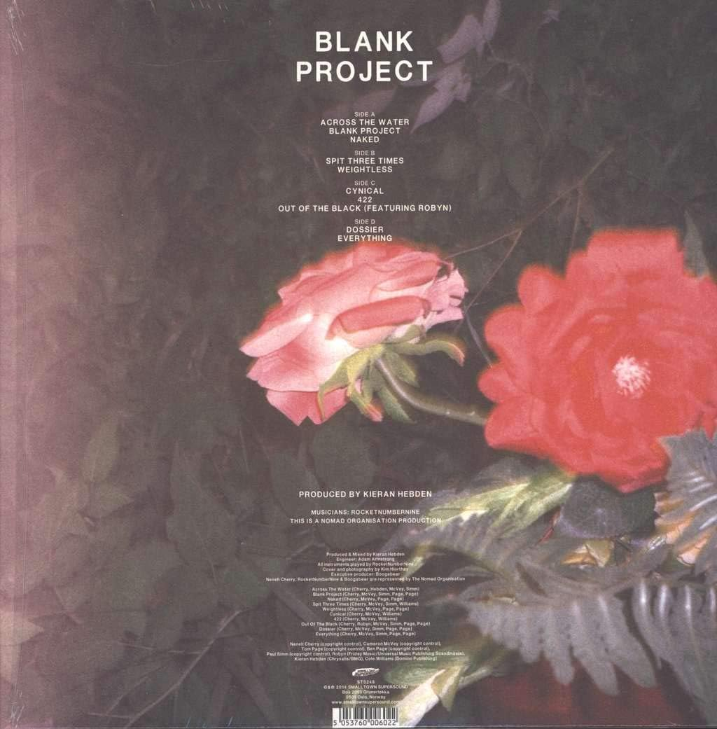 Blank Project image number 2