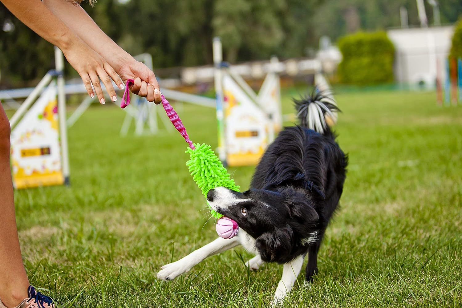 Dingo Green Mop Bite Tug for Dog Fun Bungee Chaser with Ball, Pink Handle 15589 image number 3