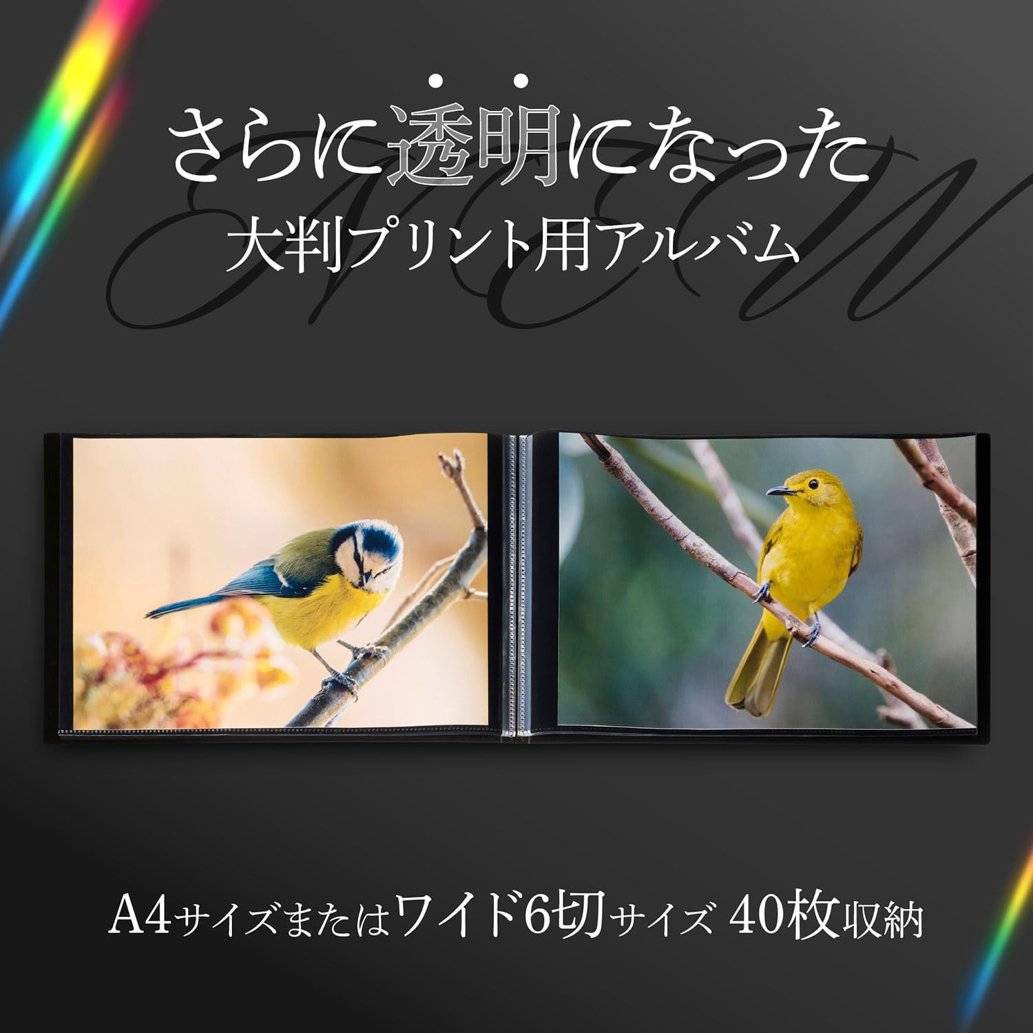 HAKUBA 4977187518795 ADP5-A4YBK Large Print Album V [A4 Size Horizontal Holds 40 Sheets] Black Mount to Make Your Photos Look Beautiful and Vivid with Original Color, Professional Specifications image number 2