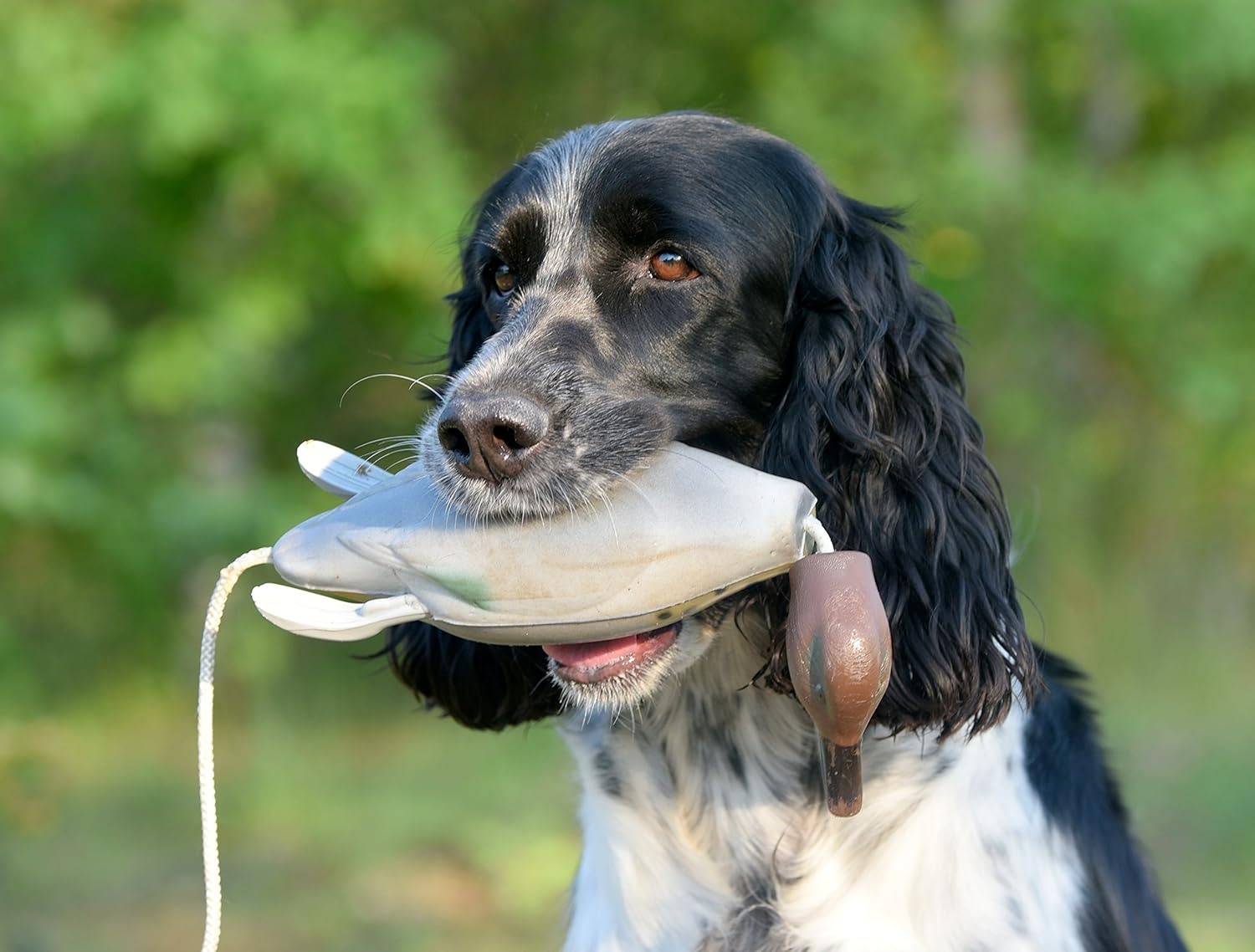 Dokken Dead Fowl Trainer Hunting Dog Dummy image number 3