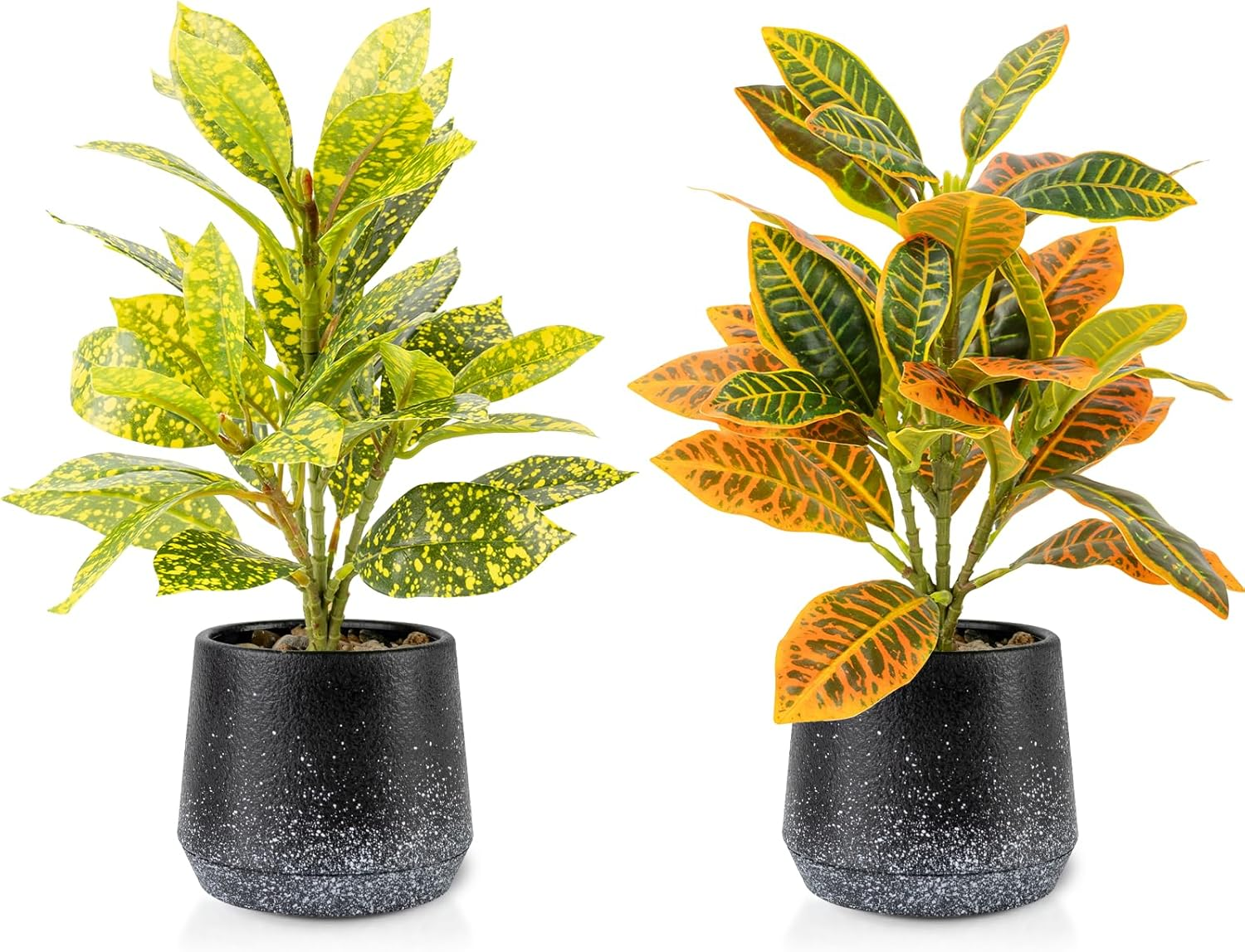 2 Pack Realistic Artificial Potted Plants Peperomia Obtusifolia, 11" Small Faux Greenery for Desk, Bathroom, Office, or Home Decor (Evergreen, Maintenance Free)