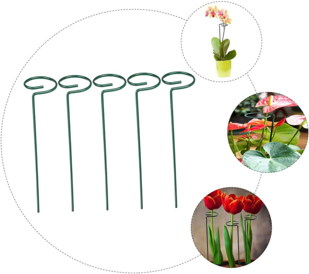 Parliky 2Sets Gardening Plant Stakes Flower Supports Stakes for Climbing Vines 5Pcs*2 image number 6