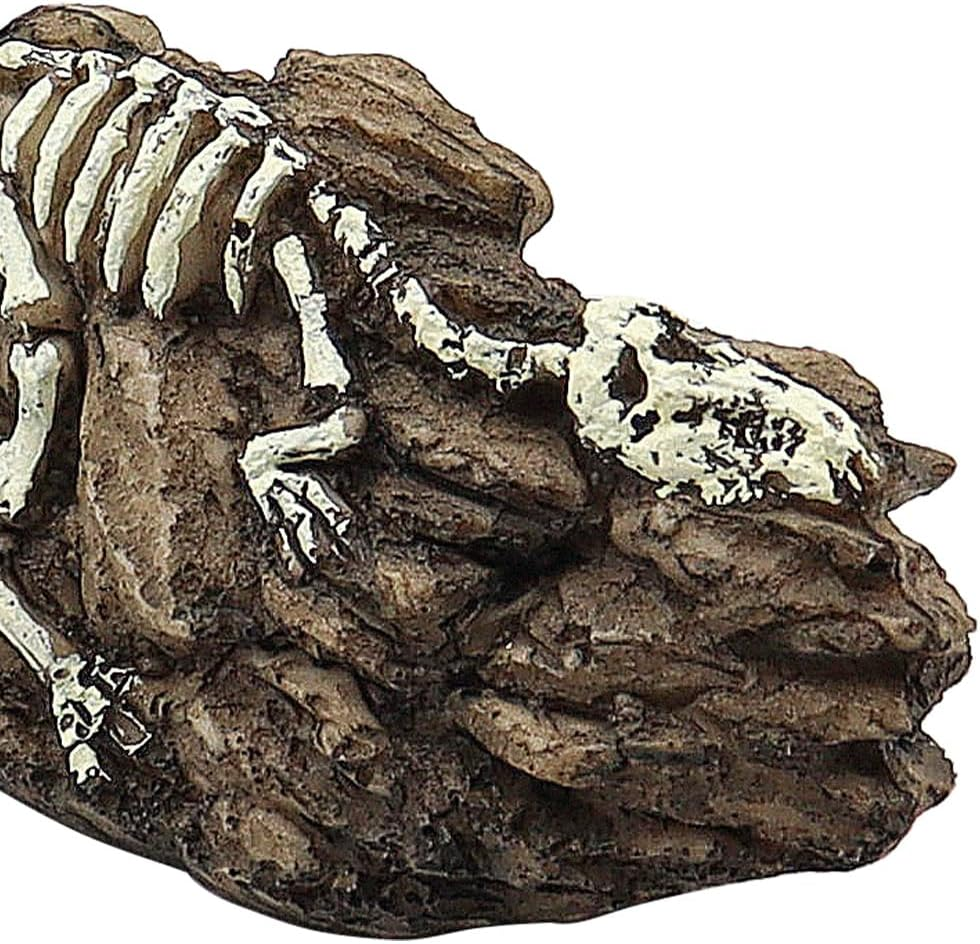 NUZAMAS Aquarium Dinosaur Fossil Decoration Dinosaur Ornaments Reptile Shelter Artificial Dinosaur Hideout Cave Landscape Fish Tank Decoration Landscape Hiding House image number 6