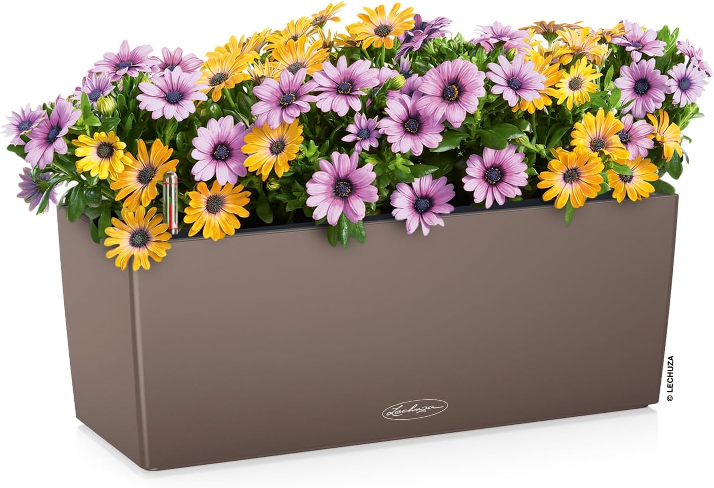 Lechuza 15674 Balconera Color 50, Nutmeg Matte, 20" X 8" X 8" Self Watering Planter, 50Cm=19.68