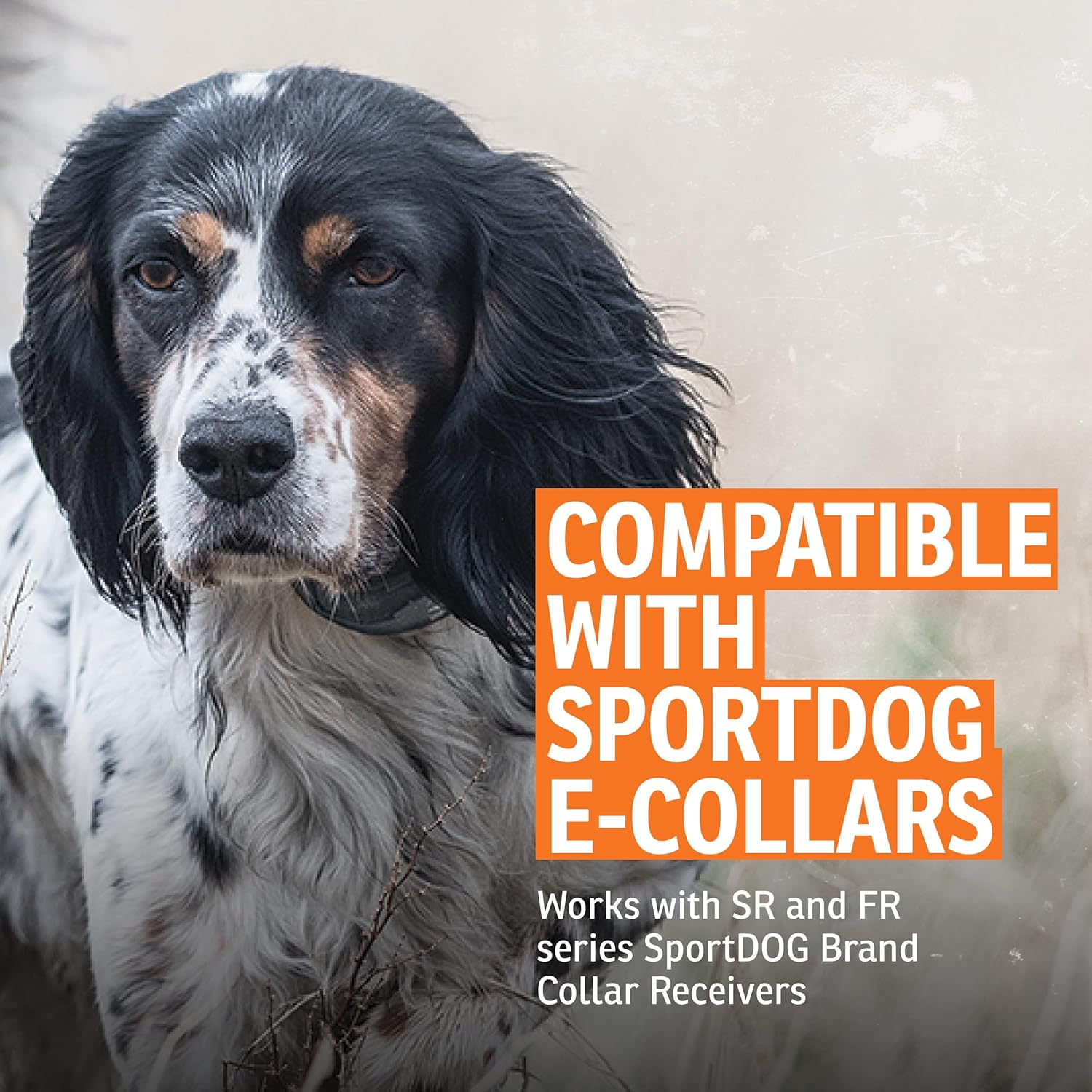 Sportdog Brand Short Contact Points - 1/2 Inch Replacement Probes E-Collars - Standard Length image number 1