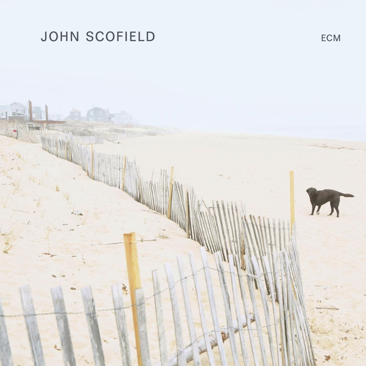 JOHN SCOFIELD (CD)