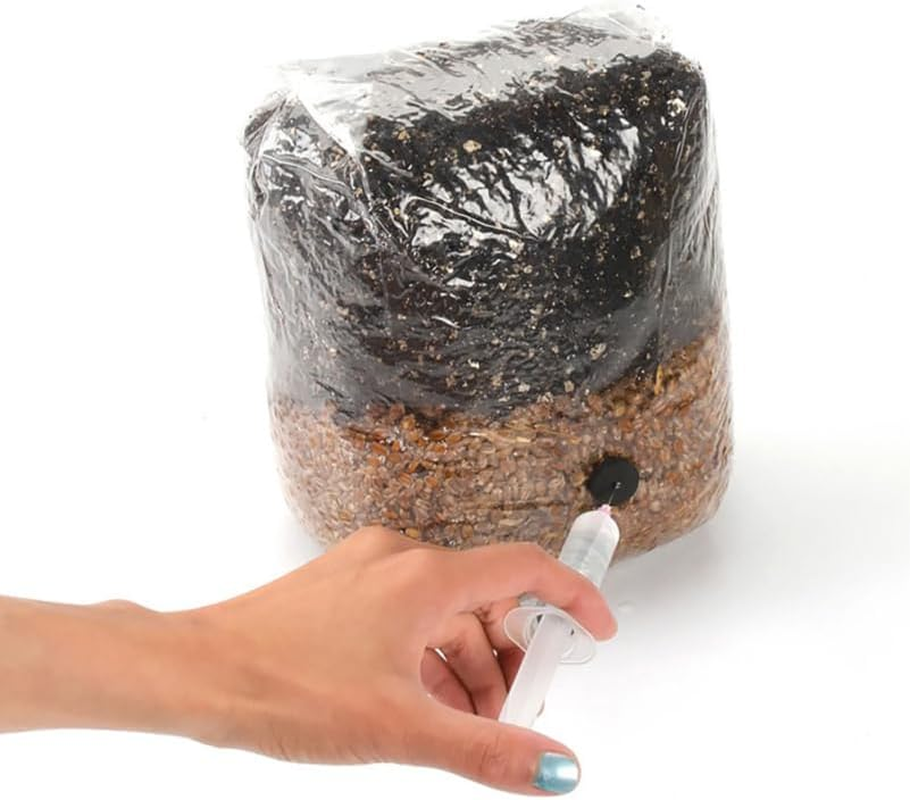 TOYANDONA 20Pcs Small Mushroom Growing Bags with Microporous Breathable Membrane for Indoor Gardening Compact Space-Saving Design Ideal for Home Greenhouse and Farm Cultivation image number 3